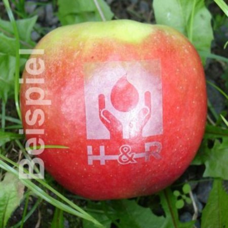Kleiner roter LOGO-Apfel mit Ihrem Logo