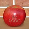 Kleiner roter LOGO-Apfel mit Laserdruck