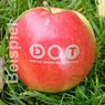 Kleiner roter LOGO-Apfel frische Vitamine auf der Messe