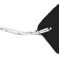 Kofferanhänger mit Kordel 20cm weiß