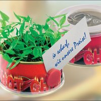 Mini Garten Chili mit Magnet mit Werbung oder Logo