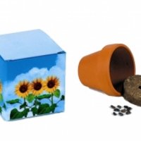 Würfel Sonnenblume mit Werbung oder Logo