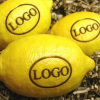 große Logo-Zitrone
