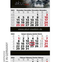 Maxi 3 Post Kalender mit Werbung oder Logo