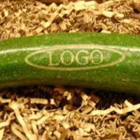 Logo-Zucchini