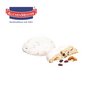 Inhalt Stollen Cookie mit Logo