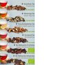 Füllvarianten Tee verschiedene Sorten 120-170g in Eco Pappdose Maxi