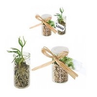 Mini-Glasshouse Fichte mit eigenem Logo
