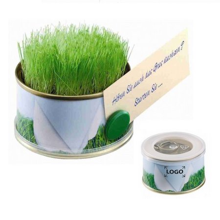 Minigarten Gras mit Magnet mit Logo