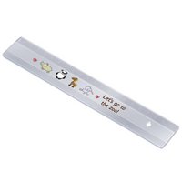 Lineal 20 cm mit Logo