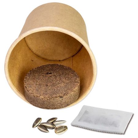 Color & Grow House mit Logo