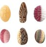 Beutelschachtel mit Bonbons als Werbegeschenk