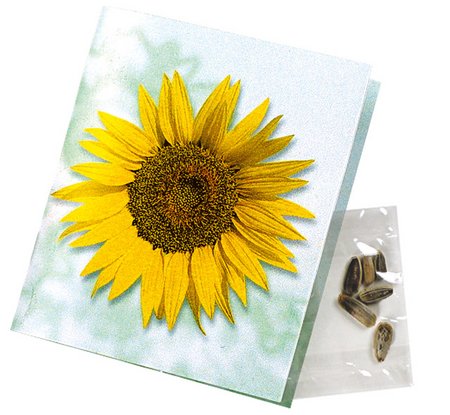 Klappkärtchen Sonne mit Samen  Zwergsonnenblume mit Logo