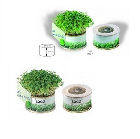 Mini Garten Kräuter mit Magnet mit eigenem Logo