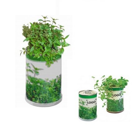 Blumendose Power Kräutermischung mit Logo