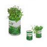 Blumendose Power Kräutermischung mit Logo
