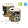 Papier-Werbedose Zuckerfreie Pfefferminzpastillen mit Logo