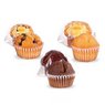 Varianten Muffin Mini im Werbe-Würfel