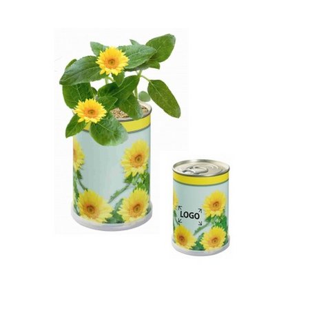 Blumendose Sonne mit eigenem Logo