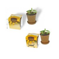 Easy Wachstums Topf Zwergsonnenblume mit eigenem Logo