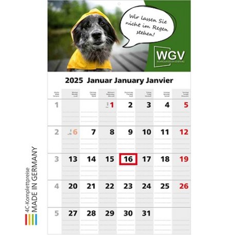 Monatskalender Solo 1 Bestseller mit Logo