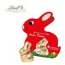 Schokokarte Hase mit Lindt Goldhase mit Logo