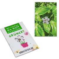 Samen-Karte-Mini Blume mit Logodruck