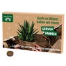 Wachsender Adventskalender Eco L Pflanzensamen mit Logo