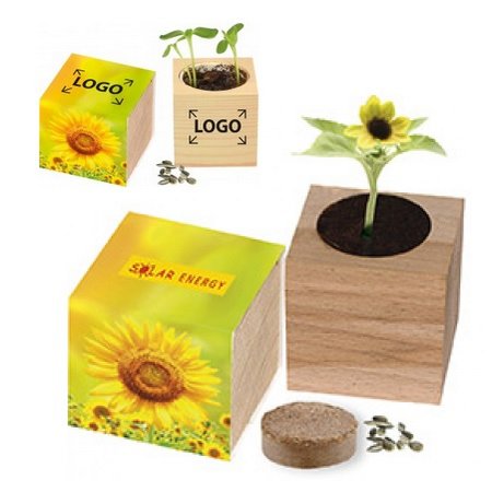 Natur-Würfel groß, Zwergsonnenblume mit eigenem Logo