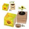 Natur-Würfel groß, Zwergsonnenblume mit eigenem Logo