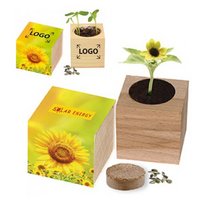Natur-Würfel groß, Zwergsonnenblume mit eigenem Logo