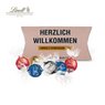 Kissenverpackung Creative Lindt Lindor Pralinés mit Logo
