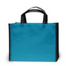 PP-Tasche Bergen hellblau-schwarz 38 x 29 x 10 cm mit kurzen Henkeln mit Logo