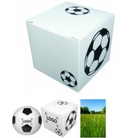 Präsentpackung Fußball mit Logo