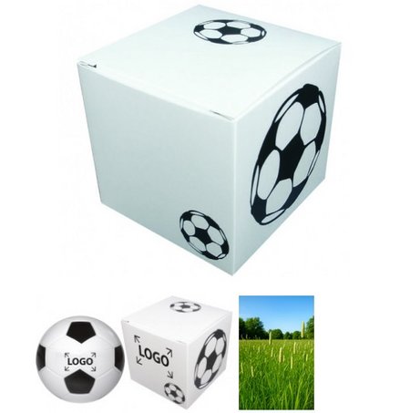 Präsentpackung Fußball mit Logo