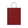 Papiertasche 240 x 120 x 310 mm farbig bedruckt mit Logo