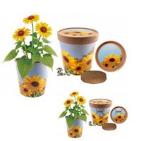 Sonnige Grüße Zwergsonnenblume mit Logo