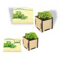 Pflanzsteckbox Green mit eigenem Logo