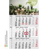 3-Monatskalender Budget 3 green+blue mit Logo
