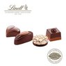 Füllvarianten Lindt Pralinés Kleine Kostbarkeiten