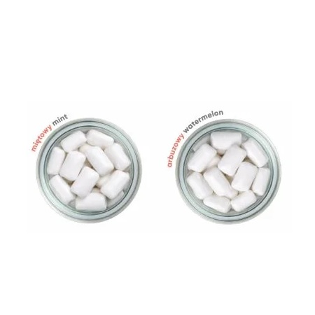 Geschmacksrichtungen Schiebe Dose zuckerfreies Kaugummi 30g