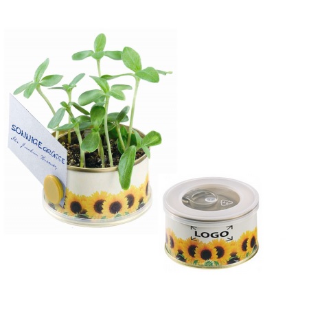 Mini Garten Sonne mit Magnet mit eigenem Logo