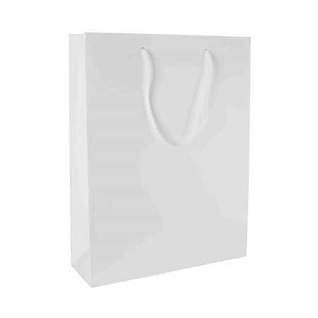 Papiertasche glanz-laminierte 220x100x175 mm mit Logo