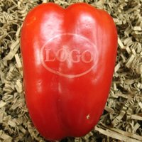 rote Logo-Paprika