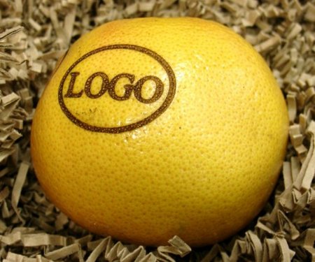 Logo-Grapefruit