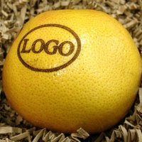 Logo-Grapefruit