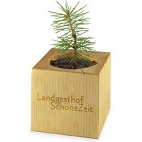 Pflanz-Holz Xmas mit Werbelogo