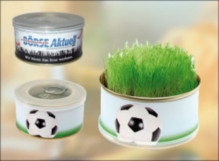 Zimmerarena Mini Garten Fußball mit Werbung oder Logo