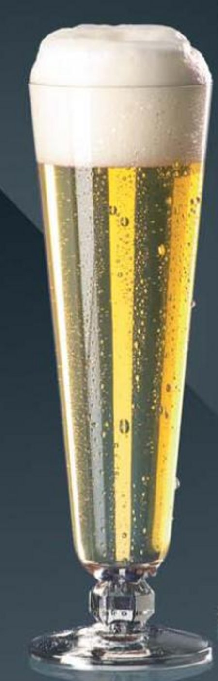 Bier-Tulpe mit Werbung oder Logo