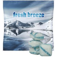 Frische Briese Bonbons ca. 15g in Midi-Tüte mit Logo